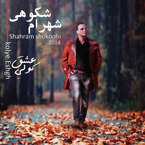 آهنگ شهرام شکوهی دونه دونه