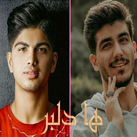 آهنگ امیر فضلی ها دلبر