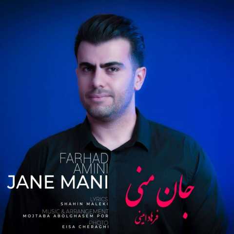آهنگ فرهاد امینی جان منی